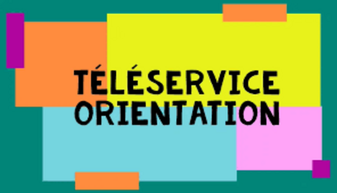 teleservice orientation.png
